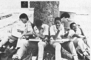 Students Studying (80s)